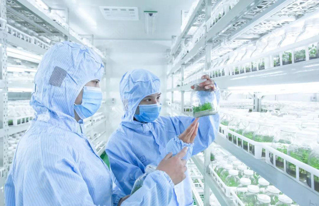 植物組培室設計